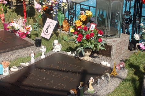 Blaine later had an unusual interaction with the king of rock 'n' roll. Graceland: Eine Symphonie des Grauens oder mein Besuch am ...