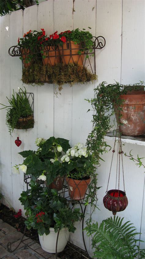 Available only online in pdf format! my garden (With images) | Garden