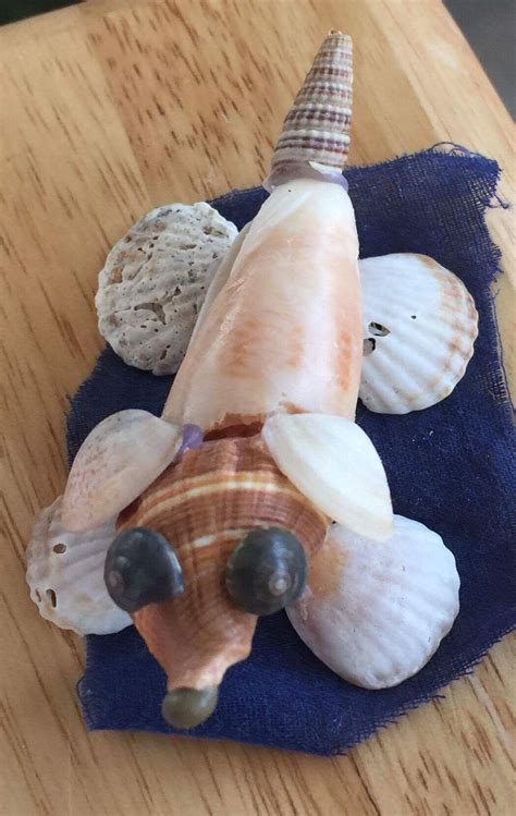 Their natural conical bore is used to produce a musical tone. Pin by Janis Calhoun on Seashells | Seashell crafts, Sea ...