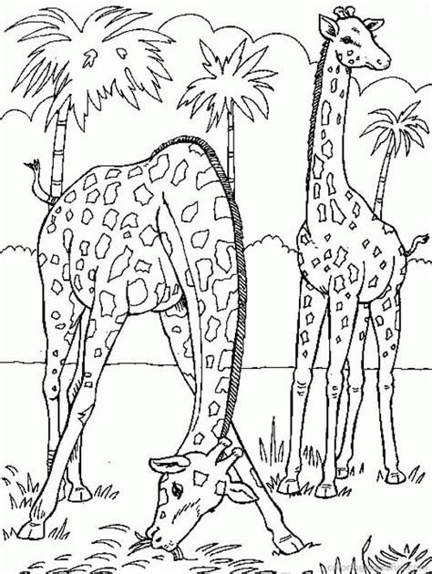 See more ideas about giraffe coloring pages, easy drawings, coloring pages. Precious Moments Giraffe - Coloring Home