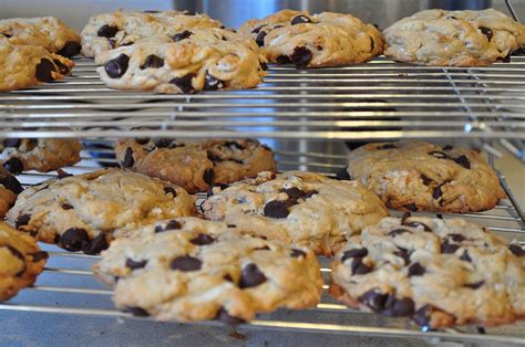 Abbiamo realizzato una raccolta di ricette imperdibile che ti permetterà di stupire i tuoi ospiti. Biscotti al cocco e cioccolato con il Bimby | Torte al ...