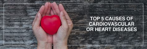 Top 5 Causes of Cardiovascular or Heart Diseases - Blog ...