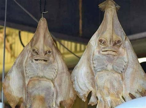 Maybe you would like to learn more about one of these? 5 Hal yang Bikin Kita Tobat Saat Kecil Dulu, Bukan Semata ...