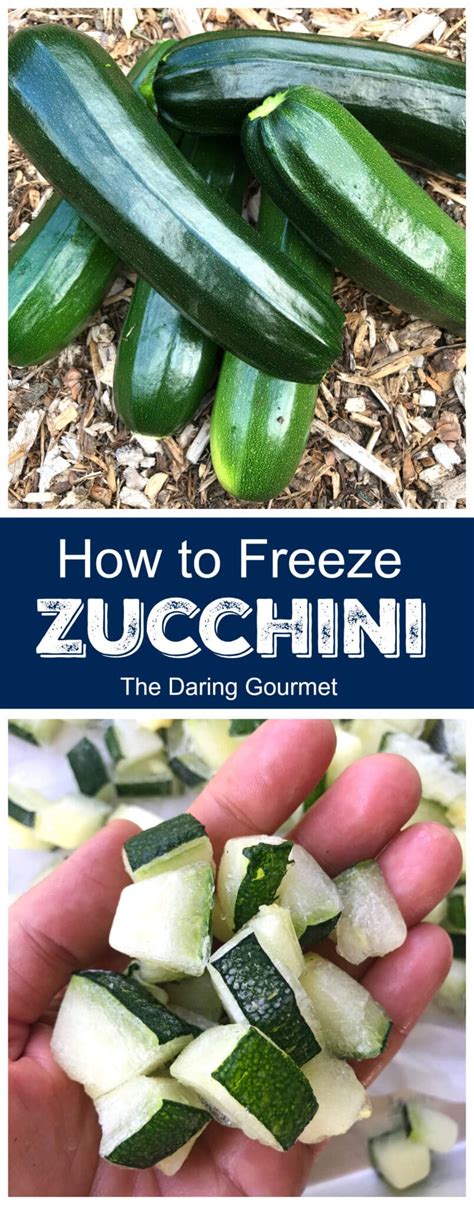 Check spelling or type a new query. How to Freeze Zucchini - The Daring Gourmet