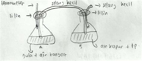 Mengapa larutan kapur menjadi lebih keruh saat ditiup menggunakan sedotan? Laporan Hasil Pengamatan FERMENTASI - Tifani's Blog