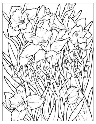 Unwind with 50 obnoxiously fun swear word coloring pages product dimensions:112 pages, 10.88 x 8.38 x 0.5 in Fuck Off, I'm Coloring: Unwind with 50 Obnoxiously Fun ...