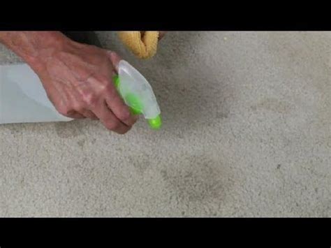 You can then vacuum the salt out and clean the carpet with a carpet cleaner. How Would I Get Coffee Stains Out of White Carpet ...