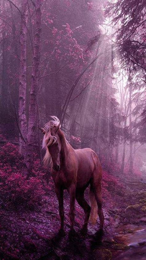 Öffne dein bild und beschneide es und passe die größe an. Pferd Hengst Quot;farm Der Tiere Quot; | Horses, Fantasy ...