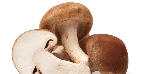 Tak wyglądają namoczone grzyby shiitake: Grzyby shiitake zapobiegają nowotworom - Dziennik.pl