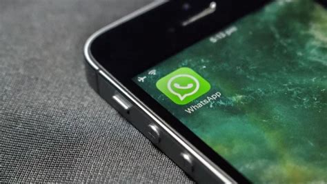 Notifikasi nada dering untuk whatsapp aplikasi gratis yang menawarkan kamu lebih dari 1000 suara. WhatsApp Uji Fungsi "Mark as Read" dan "Mute" Pada Ruang ...
