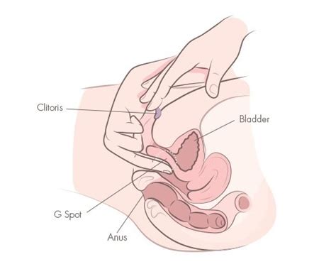 Quick, no pain, local anesthesia, home the same day. Do you ever give clitoris massage? Do girls enjoy it? - Quora