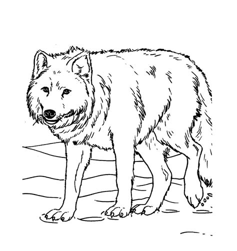 This is detailed animal coloring pages with marvellous detailed animal image. Free Printable Wolf Coloring Pages For Kids | Animal Place