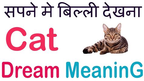 Cat dream interpretation and meaning: Cat🐱dream meaning in hindi सपने में बिल्ली दिखना🐱 billi ka ...