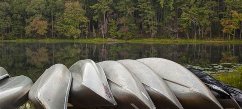 Maybe you would like to learn more about one of these? Daingerfield State Park — Texas Parks & Wildlife Department