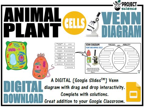 We have now placed twitpic in an archived state. Animal and Plant Cells Digital Venn Diagram - Distance ...