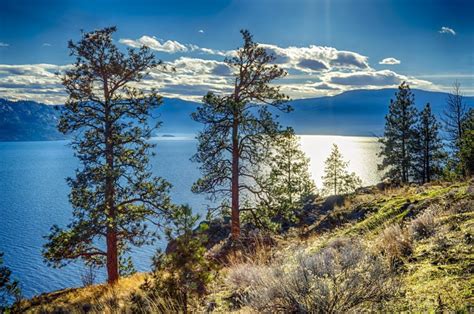 Save kelowna to your lists. November Agenda: What to do in Kelowna | Quincy Vrecko