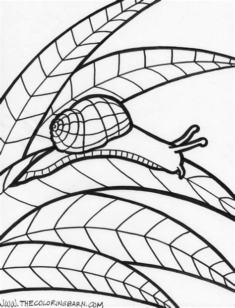 We have compiled for you a large collection of images with different animals. Pin by Sofia Vpd on rain forest | Animal coloring pages, Colouring art therapy, Rainforest animals