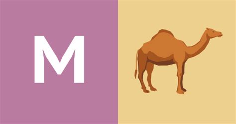 Camel uses spring transactions as the default transaction handling in components like jms and jpa. How to use Maven with Apache Camel - Tom Donohue