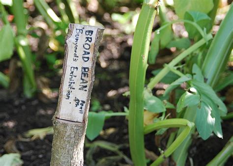 Unfortunately, overwatering can drown your plants and kill them. Plant Labels: Do I Really Need Them? 2020 - Your Vertical ...