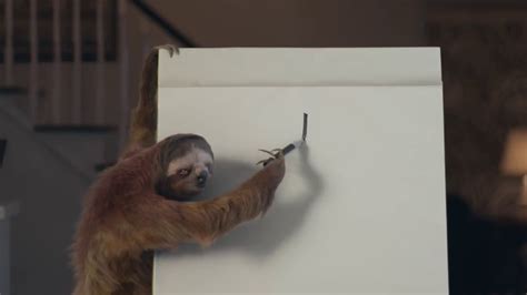 Geico hump day camel commercial. Geico commercial with sloth - YouTube