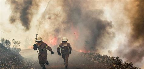 We did not find results for: Incêndio florestal em Portugal deixa 32 feridos - Brasil 247