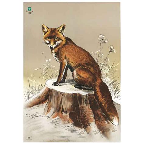 Folgende stehen aktuell als pdf datei bereit: Cible de chasse, renard (renard) - Cibles & plus ...