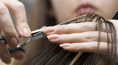 4.22 creative youtube video ideas • life skills detail a useful life skill. Utiliser les cheveux pour dépolluer, une idée qui décoiffe ! | Bio à la une