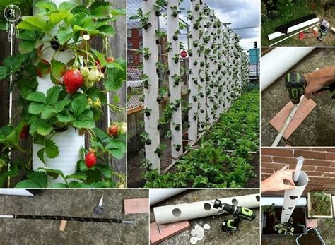 The drilled end will be buried into the ground. DIY Strawberry Tower from PVC Pipe | BeesDIY.com