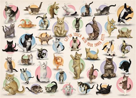 4.6 out of 5 stars 81 ratings. Yoga Kittens. Family puzzle. 300 large size pieces ...