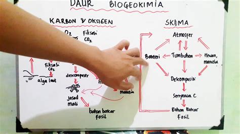 Ini ialah video pengenalan bagi modul yang bertajuk kitar karbon dan kitar oksigen dalam subjek sains tingkatan 2. Daur Karbon dan Oksigen - Daur Biogeokimia - Ekologi ...