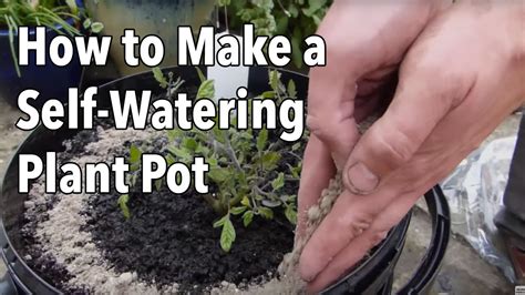 These pots can also be used in places like your balconies and terraces. How to Make a Self-Watering Plant Pot | Weed.com.au