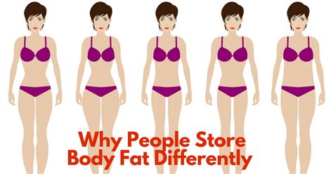 We did not find results for: Why People Store Fat In Different Parts Of The Body