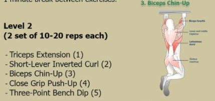 But should it be banned? Bigger Arms in 4 Weeks - Increase Arm Muscle Strength and ...