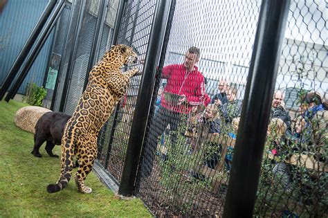 Randers fc (superligaen) günel kadro ve piyasa değerleri transferler söylentiler oyuncu istatistikleri fikstür haberler. Junglens konge er flyttet ind: Randers Regnskov - Tropical Zoo