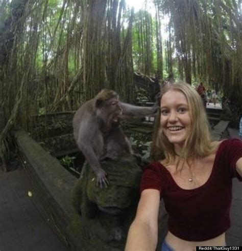 It was not yet given a rating by anyone. Tourist's Selfie With Monkey Goes Very Wrong Indeed