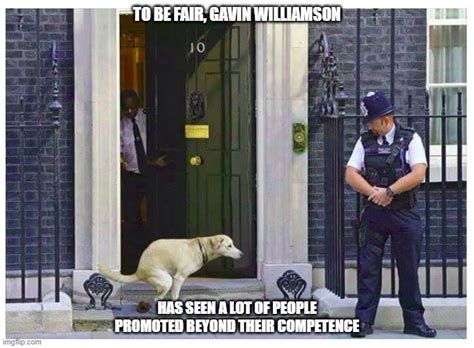 Secretary of state for education gavin williamson. Dog Shits on 10 Downing St. doorstep - Imgflip