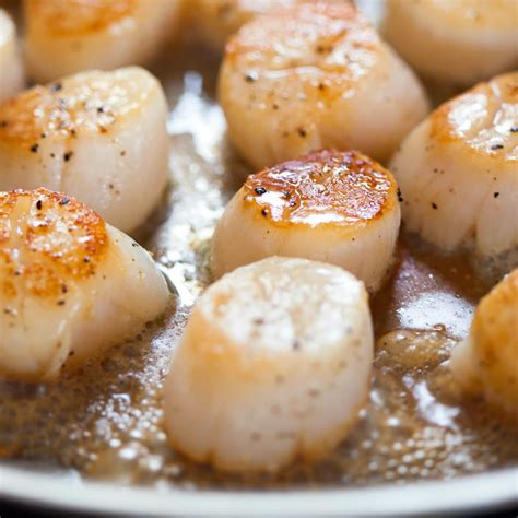 Divide the pasta between 4 plates and top with the scallops, pouring any juices let on the plate over the top. Recipe Low Calorie Small Scallops / Seared Scallops In ...