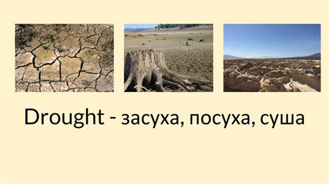 Ми застосовуємо одразу декілька технік вивчення слів для кращого ефекту. Презентація "ЗНО-2020. Англійська мова. Лексичний мінімум ...