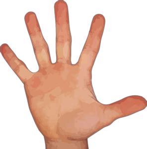 Wie kann ich kapselriss vorzubeugen? Finger tapen für Kraftsportler - deineigeneshomegym.de