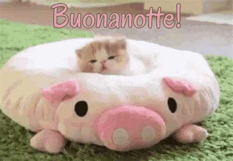 Inserito da paci 2 comments. Buonanotte Dormi Bene GIF - Buonanotte DormiBene SogniDoro ...