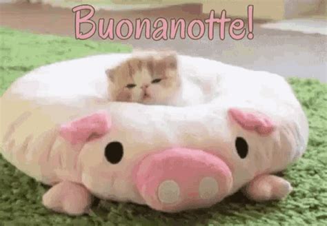 Inserito da paci 2 comments. Buonanotte Dormi Bene GIF - Buonanotte DormiBene SogniDoro ...