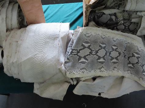 Snake skin haul from Indonesia seized | The Standard