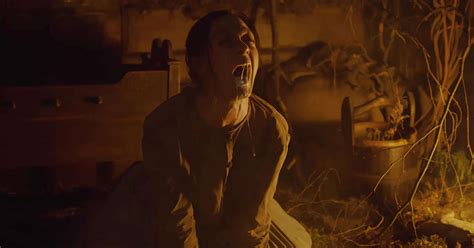 Over the past year, we've collected every fresh and certified fresh horror movie with at least 20 reviews, creating our guide to the best horror movies of 2020, ranked by tomatometer. Best Horror Movies of 2019, Ranked: Top New Scary Movies ...