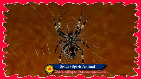 Found a camel spider the size of a sharpie cap on a oil site in eastern colorado. Spider Spirit Animal: Meaning, Messages, Dreams and ...