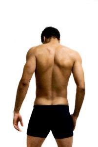 The male back anatomy drawing. A man's back, shoulders, and shoulder blades