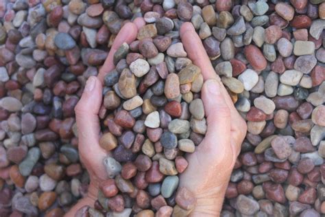 Develop, evaluate, and disseminate pami products and toolkits through existing and new collaborations with multidisciplinary experts and stakeholder organizations to promote safe. Pami Pebble 1/2" - Decorative Rock - Products