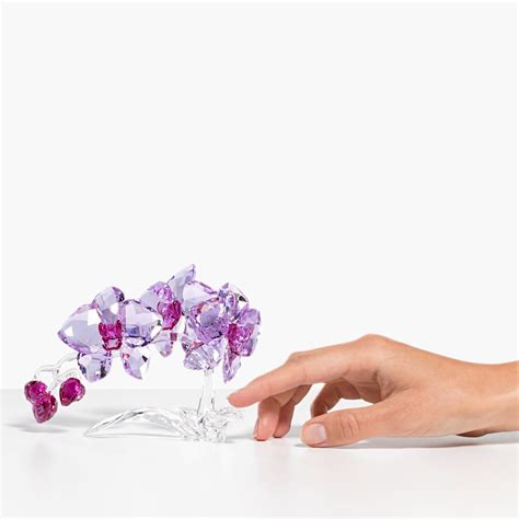Swarovski crystal flower brooch are fashion decorative accessories that usually attach to clothes with a rotating pin clasp. Crystal Flowers Orchid | Swarovski.com