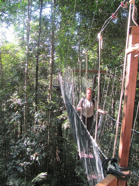 People are asked to enter each canopy walk bridge at a gap of about 10m for safety reasons, one person at a time. Mark McGinley's Fulbright in Malaysia: Taman Negara ...