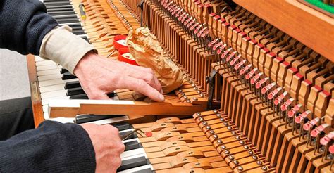 Check spelling or type a new query. The 10 Best Piano Tuners Near Me (with Free Estimates)