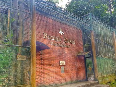 673a, jalan kebun bunga, pulau tikus, 10350 jorj shahri, pulau pinang, malayziya telefon: Terapi minda di Taman Botani